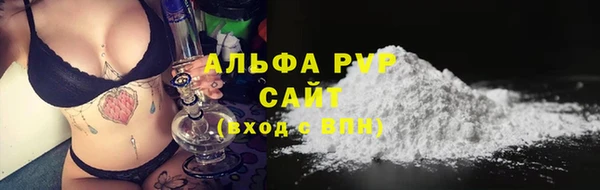 гидра Алексин