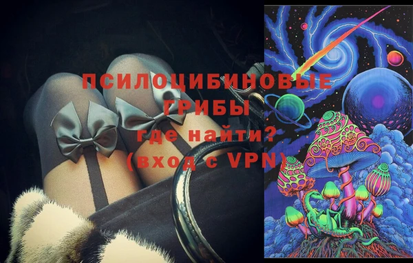 гидра Алексин