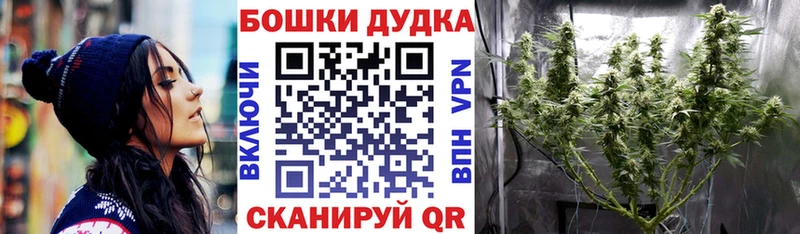 купить наркоту  Слюдянка  мориарти официальный сайт  Бошки марихуана OG Kush 